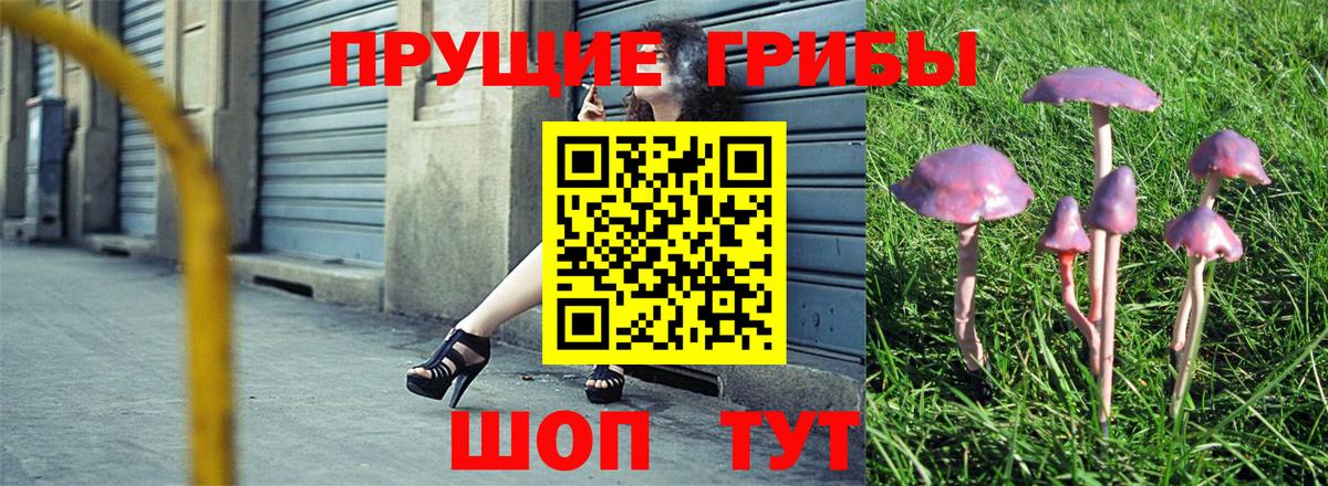 Псилоцибиновые грибы GOLDEN TEACHER Янаул
